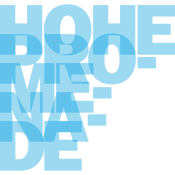 Logo Kantonsschule Hohe Promenade